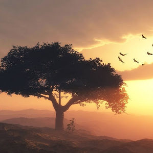 Meet your Posher, Lindsay